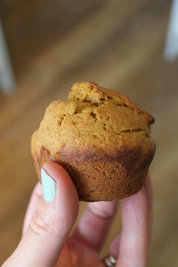 Pumpkin muffin